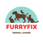 Furry Friends Funhouse