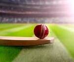 cricket & business videos