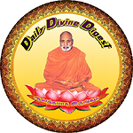 Daily Divine Digest