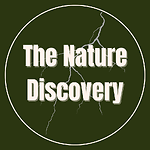 The Nature Discovery