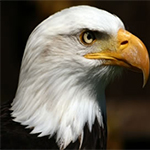 AnimalZooHD