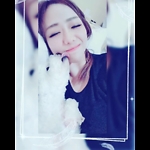 Dog daily
