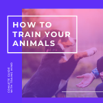 Traing Methods