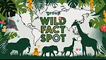 Wild Fact Spot