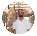 Sport Horse Chiropractic