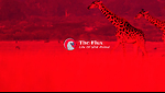 The Flux Animal Fight