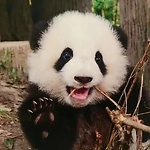 pandahub