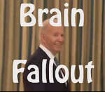 Brain Fallout