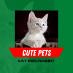 Cute Pets