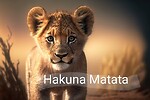 Hakuna matata