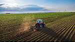 FarmLand - Farm Land, Farming, Agriculture