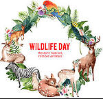 WILDLIFE25