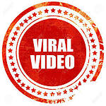 The Viral Videos