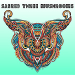 STM | INSTRUCTION VIDEOS