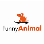 Funny Animal