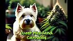 West Highland Cannabis