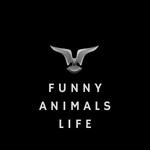 Funny Animals Life