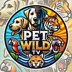 PetWild TV – Pets & Wildlife Adventure