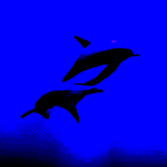 Water Dolphins