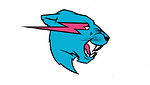 OnMrBeast