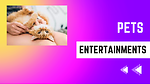 Entertainment