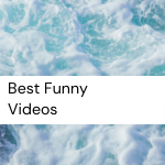 Love funny videos