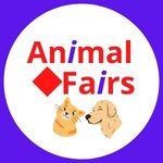 Cats and Dogs Funny Video
