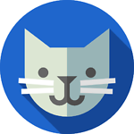 Cat Memes