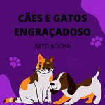 CÃES E GATOS ENGRAÇADOS