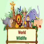 World Wildlife zon