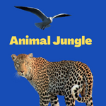 Animalfun01