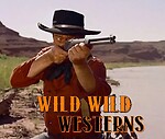 Wild Wild Westerns