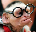 DoctorCoconutMonkey