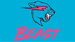Mr beast