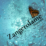 Relaxation Videos By Z