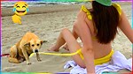 Funny contents