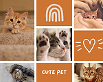 the best cute animals