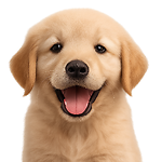 Animal Rescue Stories: Heartwarming Videos of Saving Animals & Happy Endings