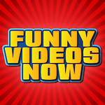 The Best Funny Videos