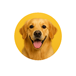 FunnyAnimalsworld19