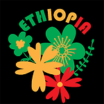 Ethio Forum News will provide you daily news in Amharic.