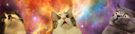 CatSfOLEVER