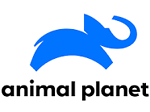 animal planet