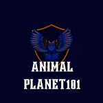 Animals funny moments