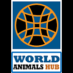 WorldAnimalsHub