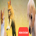 Pets Unique Moments