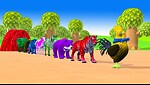 oonTastic Fun: Dive into the World of Animated Adventures!