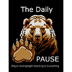 The Daily Pause