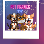 petpranksTV