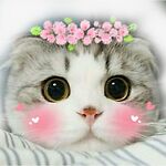 Famous Animal in the World